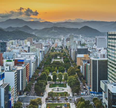 Aerial view of Sapporo's Odori Park, a long green space flanked by city buildings, with mountains in the distance at sunset.